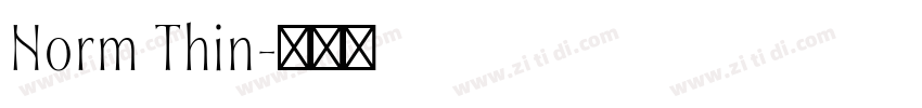 Norm Thin字体转换